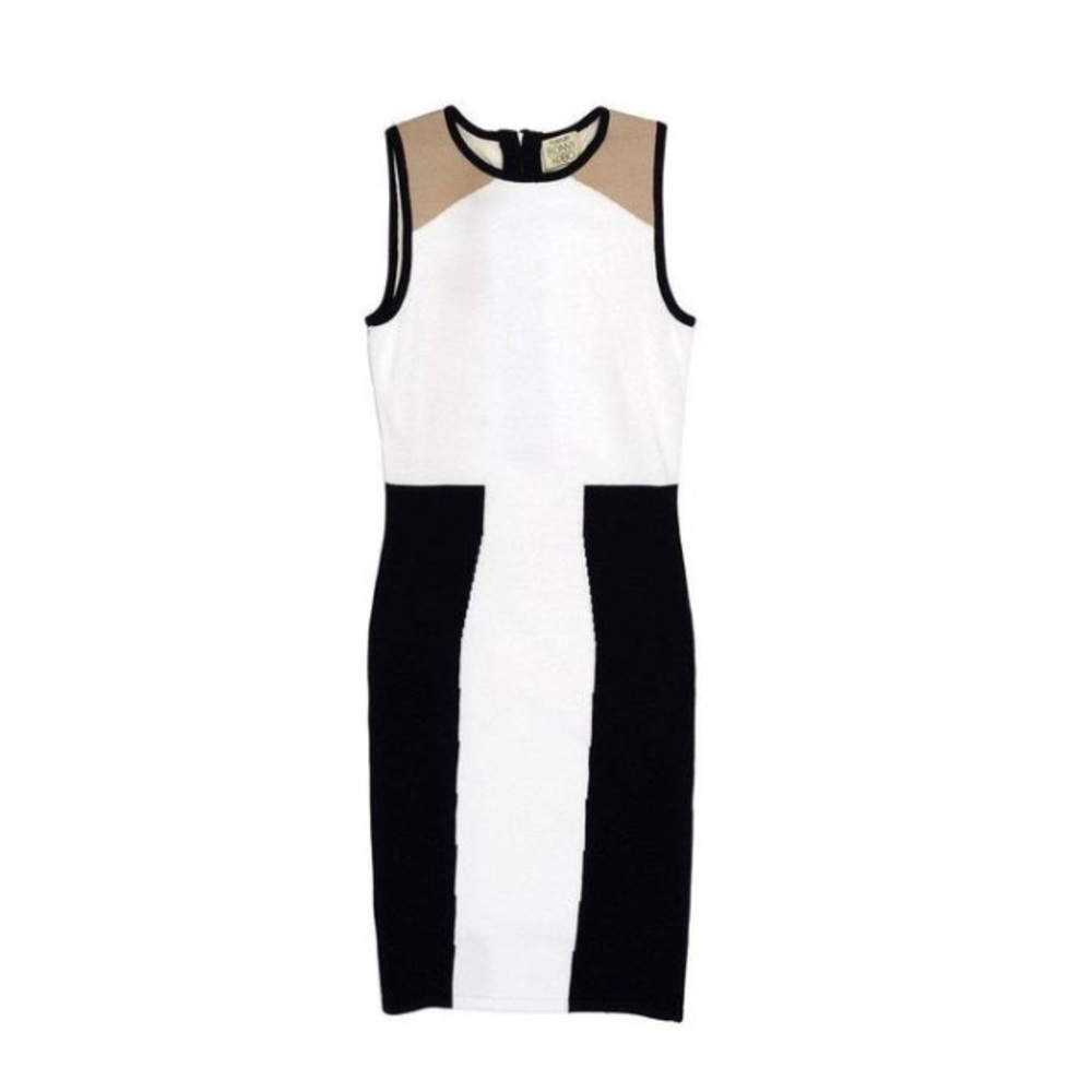 Torn by Ronny Kobo Dress